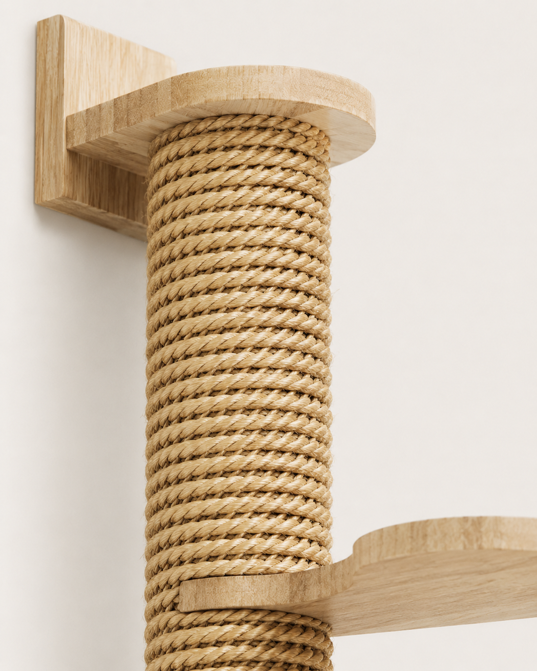 Cat Climbing Column – close-up detail