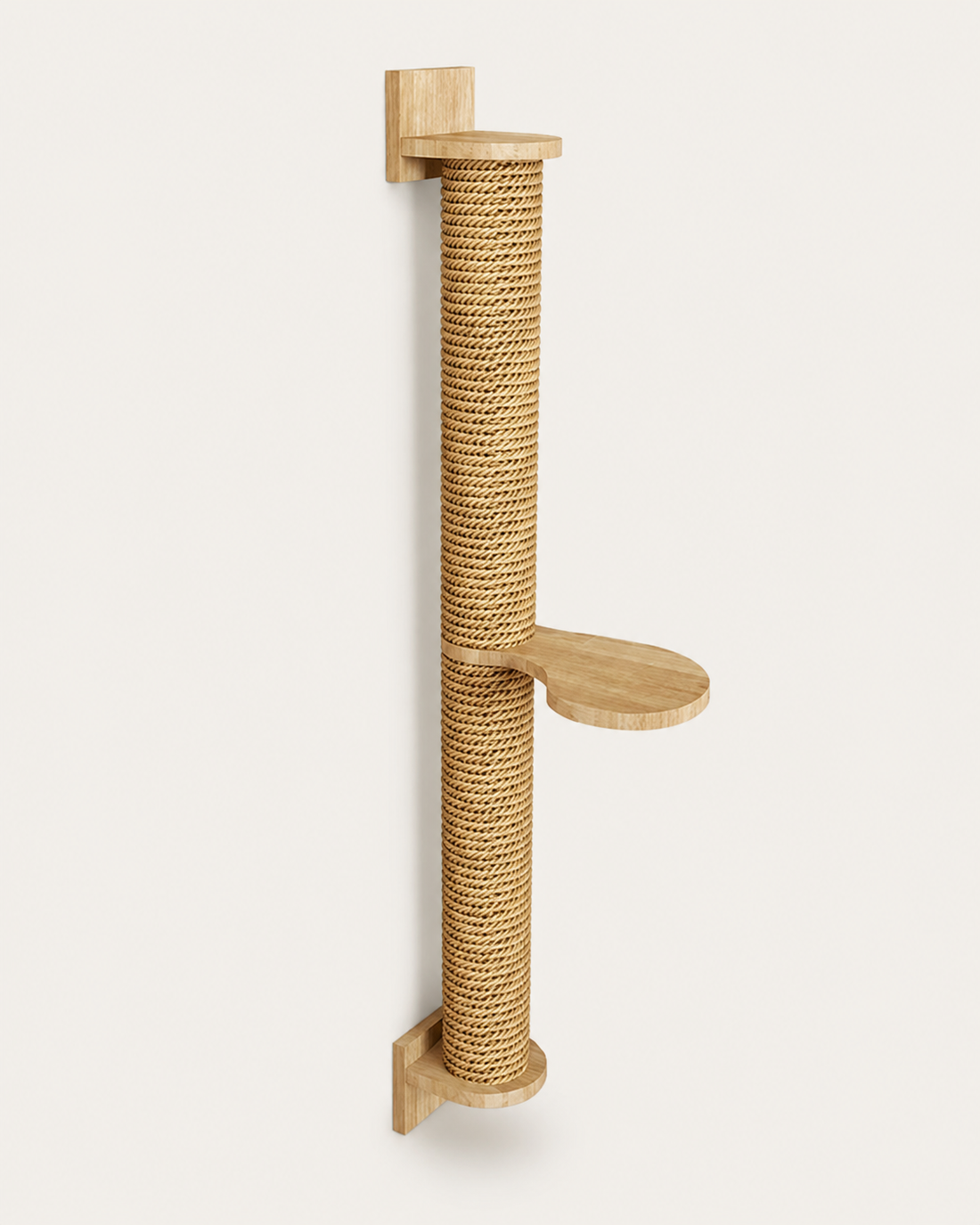 Cat Climbing Column on white background