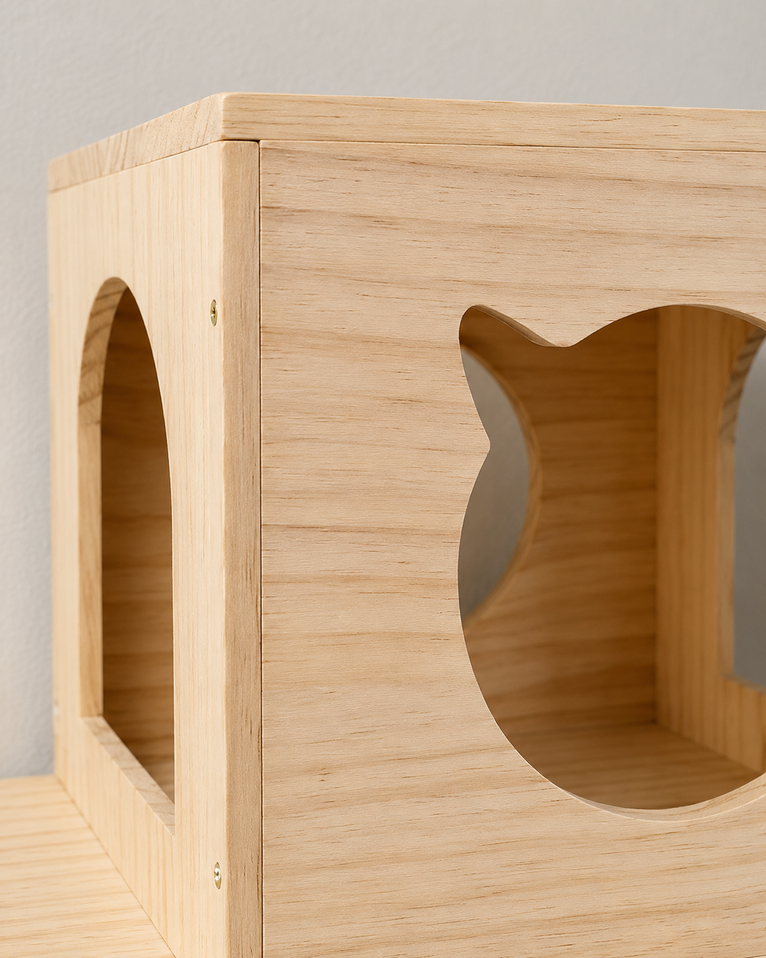 Cat Climbing House – close-up detail
