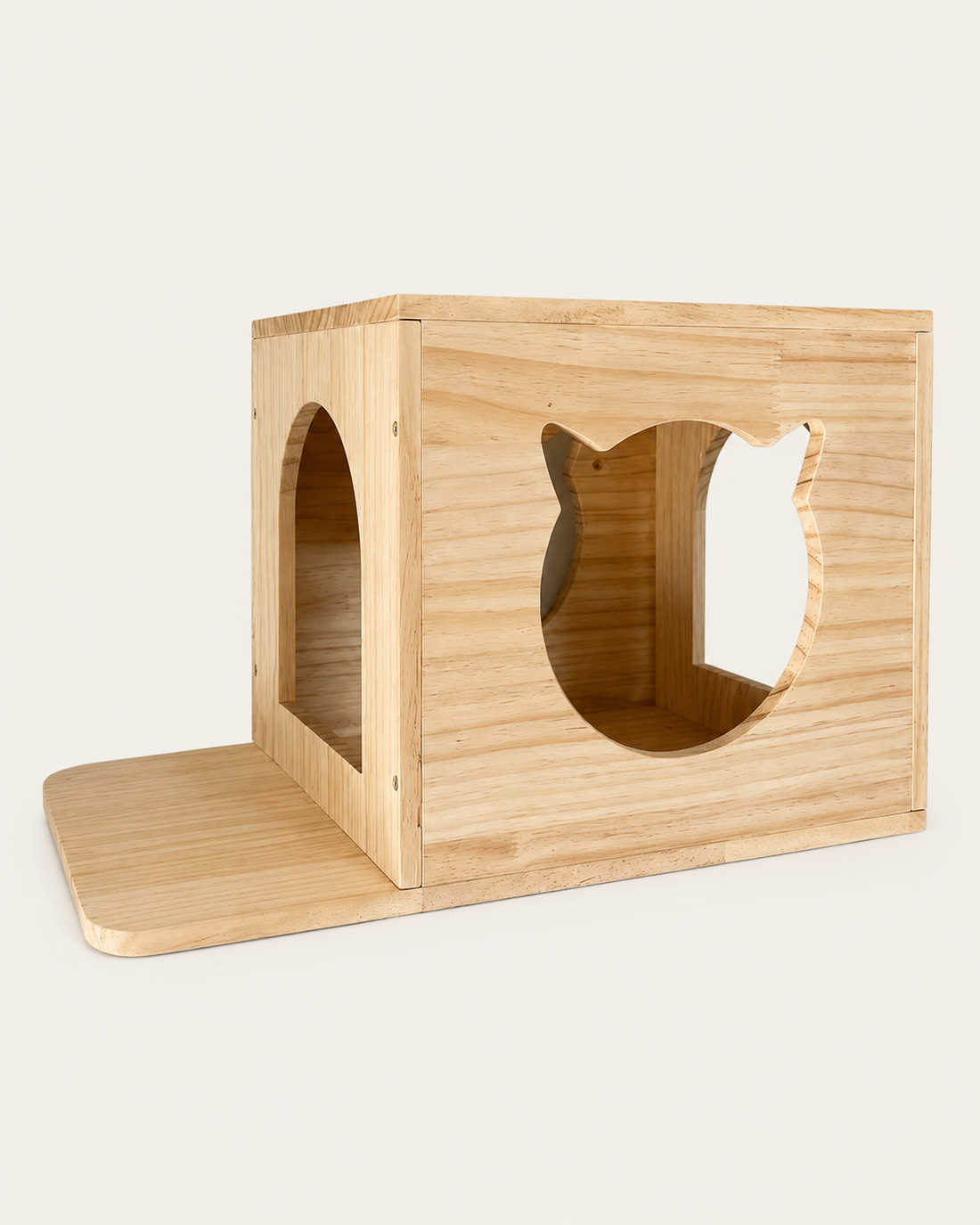 Cat Climbing House on white background
