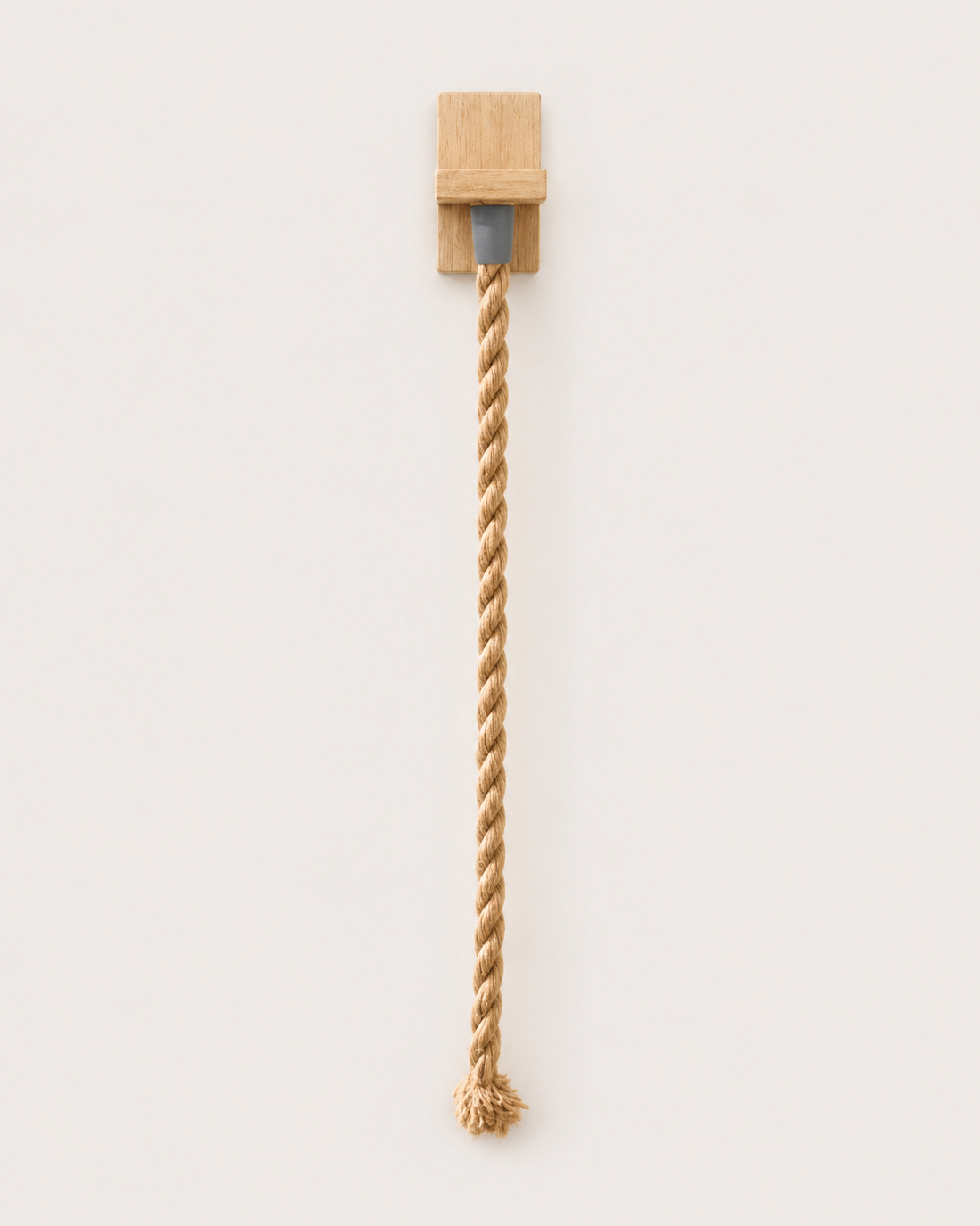 Cat Climbing Rope on white background