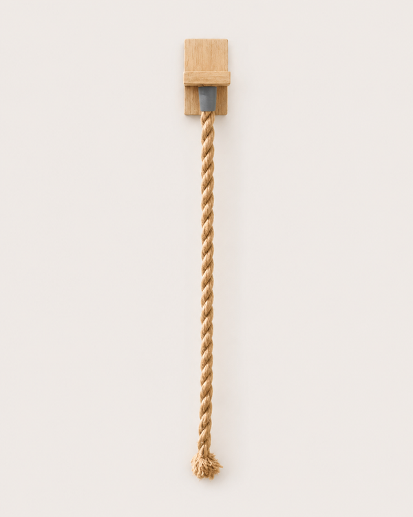 Cat Climbing Rope on white background